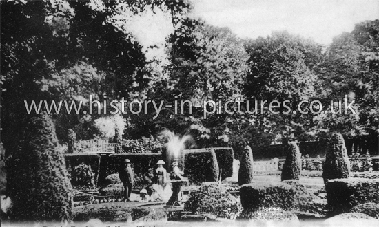 Dutch Gardens, Saffron Walden, Essex. c.1905